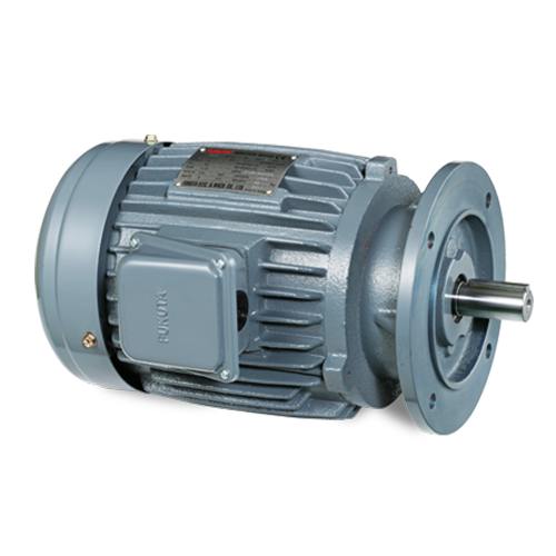 AC Induction Motor (IEC): AEVF Series
